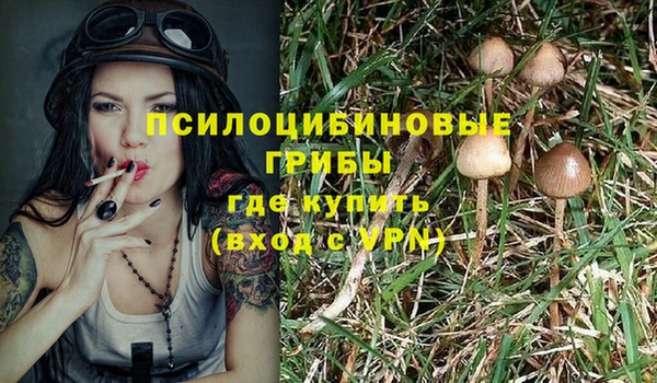 марки lsd Алзамай