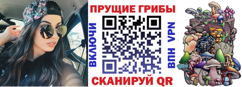 Псилоцибиновые грибы ЛСД  купить наркотики сайты  Десногорск 